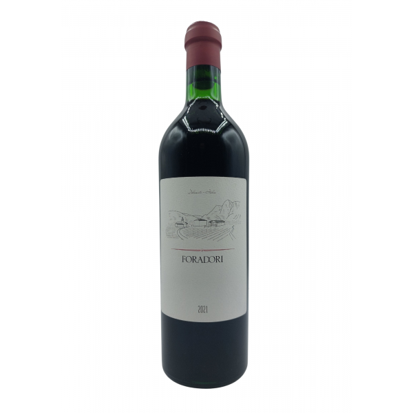 IGP VIGNETO DELLE DOLOMITI ROUGE FORADORI ( ITALIE ) BIODY