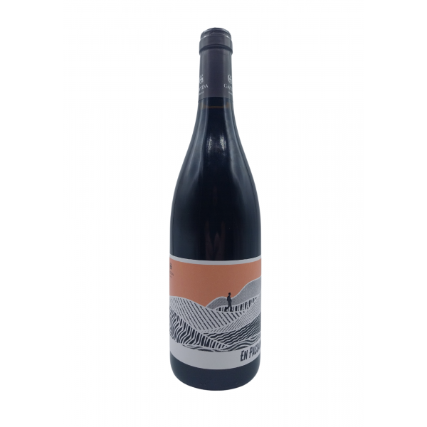 IGP D OC ROUGE EN PASSANT SYRAH/CARIGNAN DOMAINE GAYDA