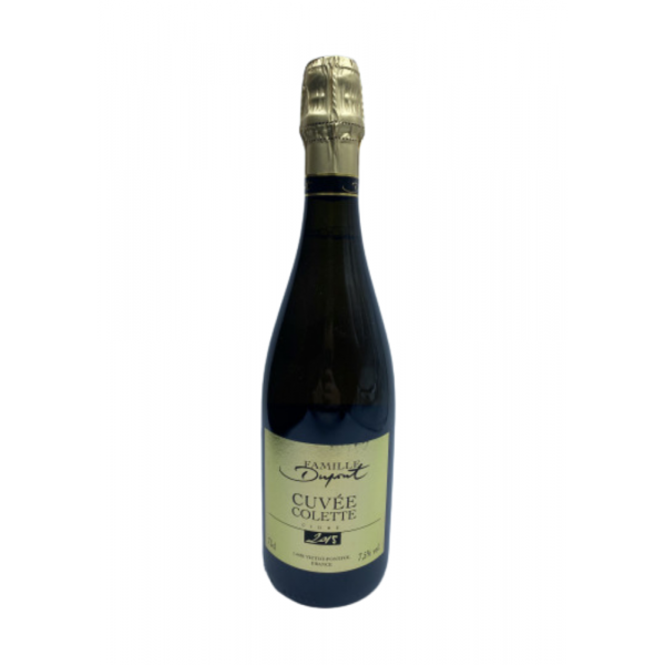 CIDRE DUPONT COLETTE BRUT BIOLOGIQUE 75CL